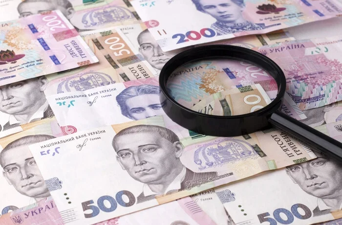 Валютні обмеження Пишного для бізнесу стимулюють створення юросіб в офшорах, – ЗМІ