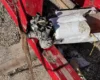 Уламок безпілотника винесло на популярний пляж Румунії