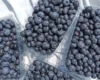 Вирощування лохини в Україні втрачає рентабельність