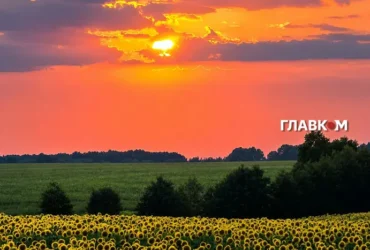 Україну розігріє до +37°, але ненадовго: коли прийде похолодання