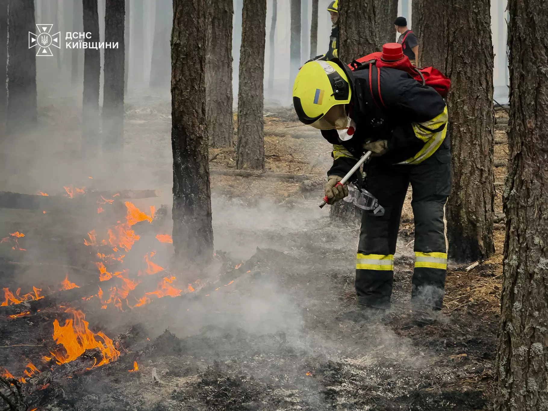 На Київщині рятувальники гасять масштабну лісову пожежу (відео) фото 1