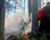 В окупованій Ялті шостий день триває масштабна лісова пожежа