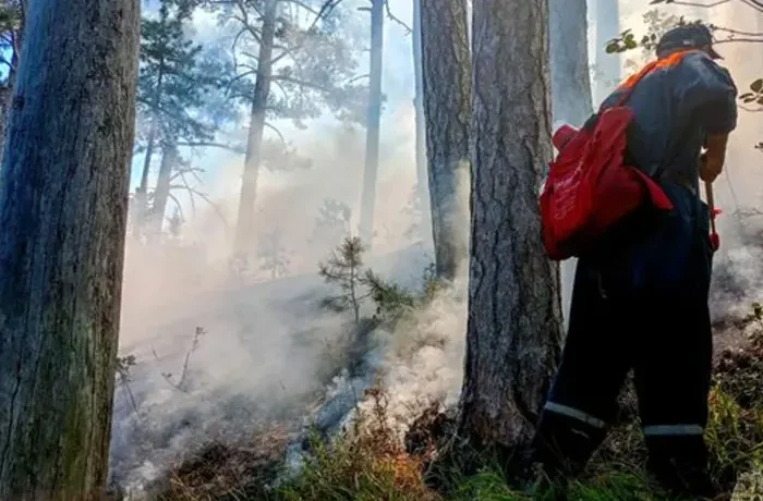 В окупованій Ялті шостий день триває масштабна лісова пожежа