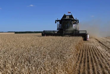 Російські аграрії опинилися на межі кризи після ударів по портах