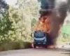 Дрон атакував машину «Укрпошти» на Донеччині: знищено сотні посилок
