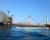 Зупинка портів Великої Одеси: ЗМІ повідомляють про перші наслідки