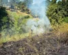 У Києві та області оголошено надзвичайну пожежну небезпеку