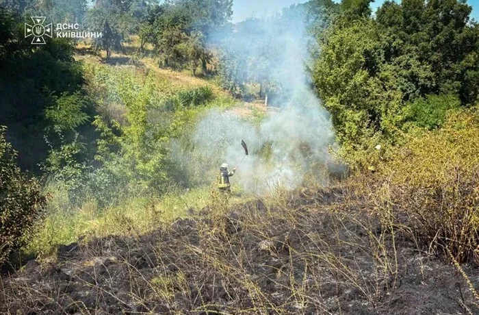 У Києві та області оголошено надзвичайну пожежну небезпеку