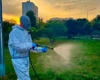 Повторна обробка від кліщів у парках Солом’янського району: де та коли проходитиме