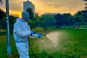 Повторна обробка від кліщів у парках Солом’янського району: де та коли проходитиме