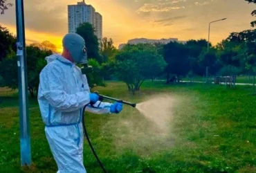 Повторна обробка від кліщів у парках Солом’янського району: де та коли проходитиме