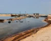 В Ормузькій протоці спостерігається масштабний нафтовий розлив