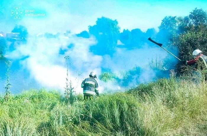Понад 30 займань за добу. На Київщині вирують пожежі через спеку та посуху