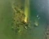 Болгарія: низький рівень води у Дунаї оголив залишки давньоримського мосту