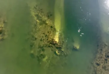 Болгарія: низький рівень води у Дунаї оголив залишки давньоримського мосту