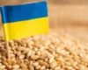 Україна швидко поверне ринки зерна після відновлення експорту з портів Одеси – Мінагрополітики