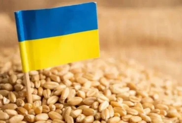 Україна швидко поверне ринки зерна після відновлення експорту з портів Одеси – Мінагрополітики