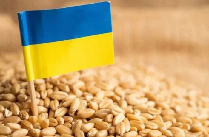 Україна швидко поверне ринки зерна після відновлення експорту з портів Одеси – Мінагрополітики