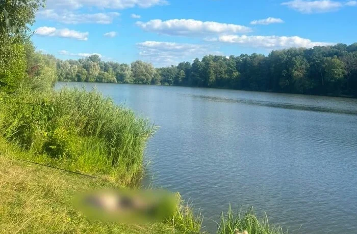 На Харківщині чоловік загинув під час риболовлі, за справу взялася поліція