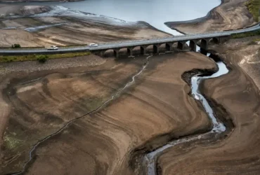 Посуха дісталася Франції: бракує і води, і корму тваринам