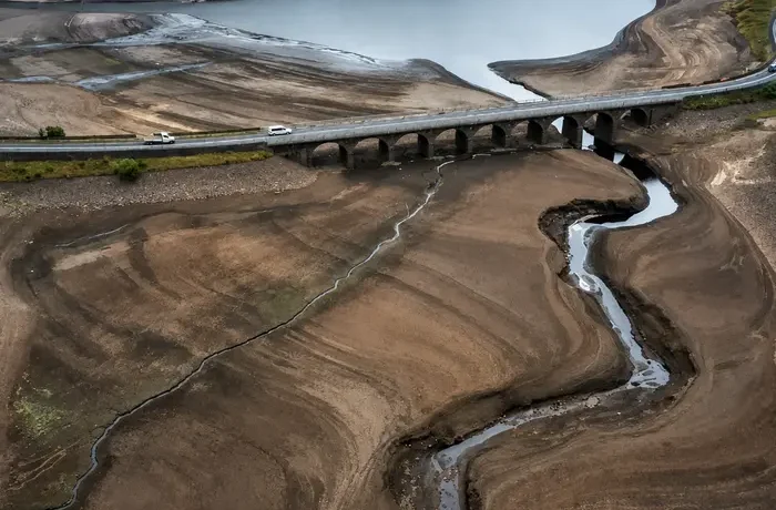 Посуха дісталася Франції: бракує і води, і корму тваринам