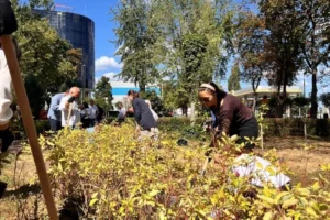 До Дня Незалежності у столичному сквері на Почайній з’явилося 500 нових рослин