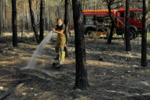 Українські рятувальники розпочали гасіння пожежі у Франції