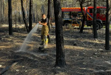 Українські рятувальники розпочали гасіння пожежі у Франції