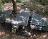 Флеш показав нову версію російського дрона «Гербера» (фото)