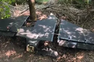 Флеш показав нову версію російського дрона «Гербера» (фото)