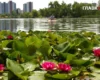 Спека у Києві за один день побила три температурні рекорди