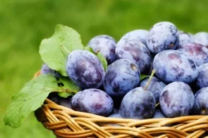 Ціни на сливи в України знизились