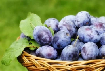 Ціни на сливи в України знизились