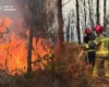 Українські рятувальники у Франції зупинили пожежу, що загрожувала населеному пункту