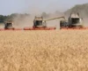 Україна знайшла новий маршрут для експорту зерна до ЄС