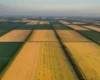 Як власникам паїв захистити свої права та розірвати договір: інструкція