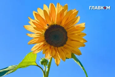 Україна оновила температурні рекорди: де зафіксували аномальну спеку