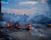 Масштабна пожежа охопила притулок «Сіріус» під Києвом, загинули собаки