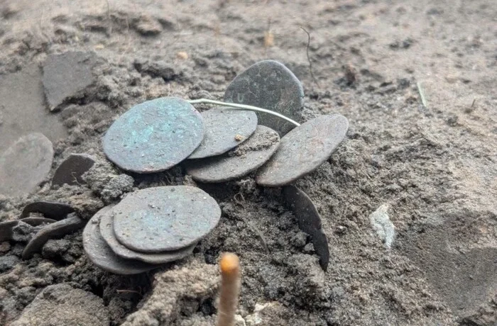 На Полтавщині археологи знайшли унікальні мідні монети