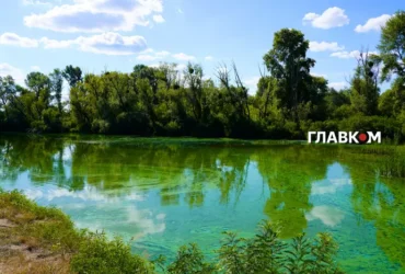 Дніпро перетворюється на болото: біолог назвав рибу-рятівника