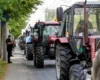 Пільги для України викликали невдоволення у фермерів Молдови