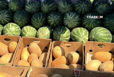 Де у Києві проходитимуть продуктові ярмарки 1-6 вересня (адреси)