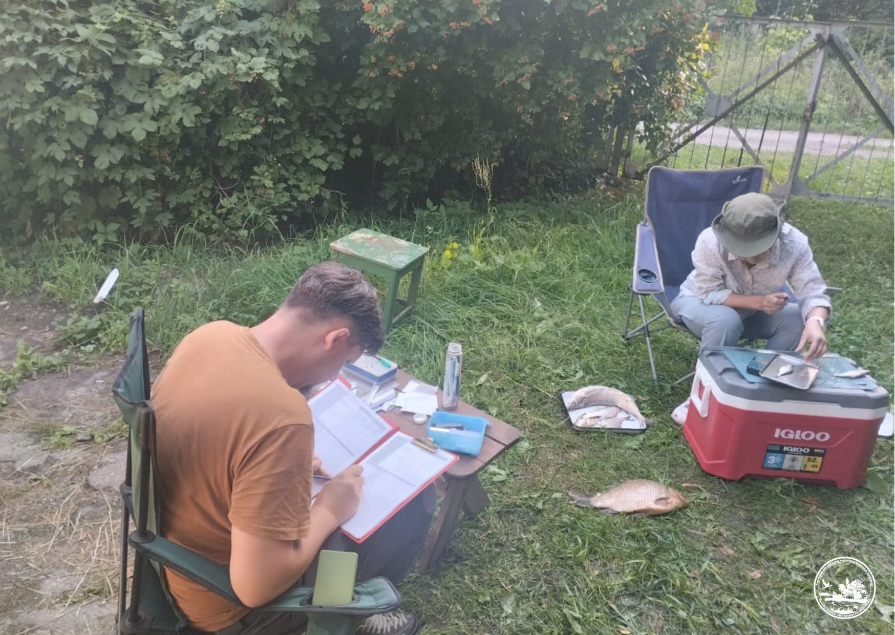 Науковці проаналізували загальний стан водних екосистем, чисельність місцевих видів та поширення інвазійних організмів