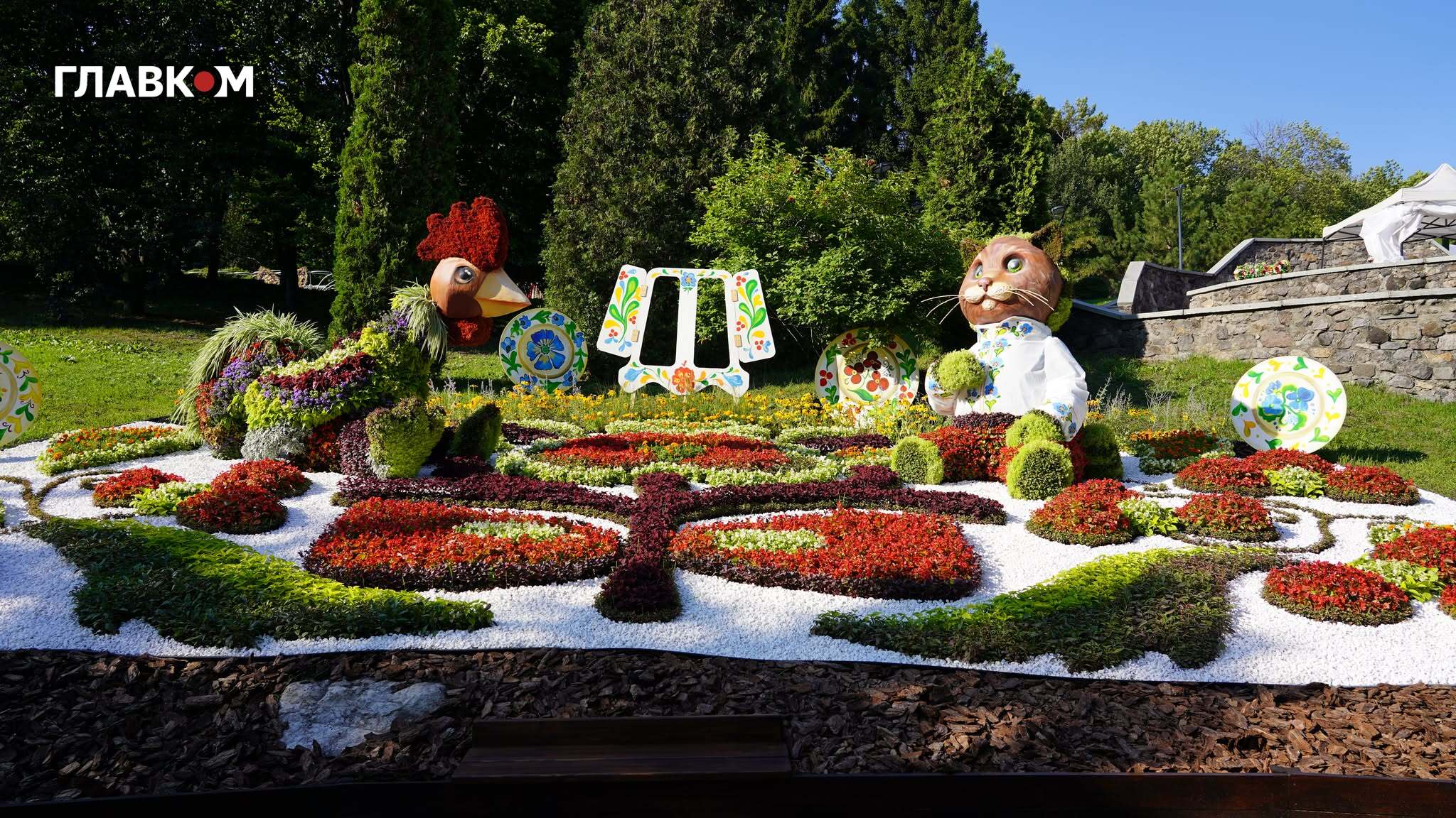 Котик у вишиванці