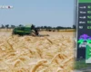 16 тонн зерна за тонну дизеля. Аграрії підійшли до межі