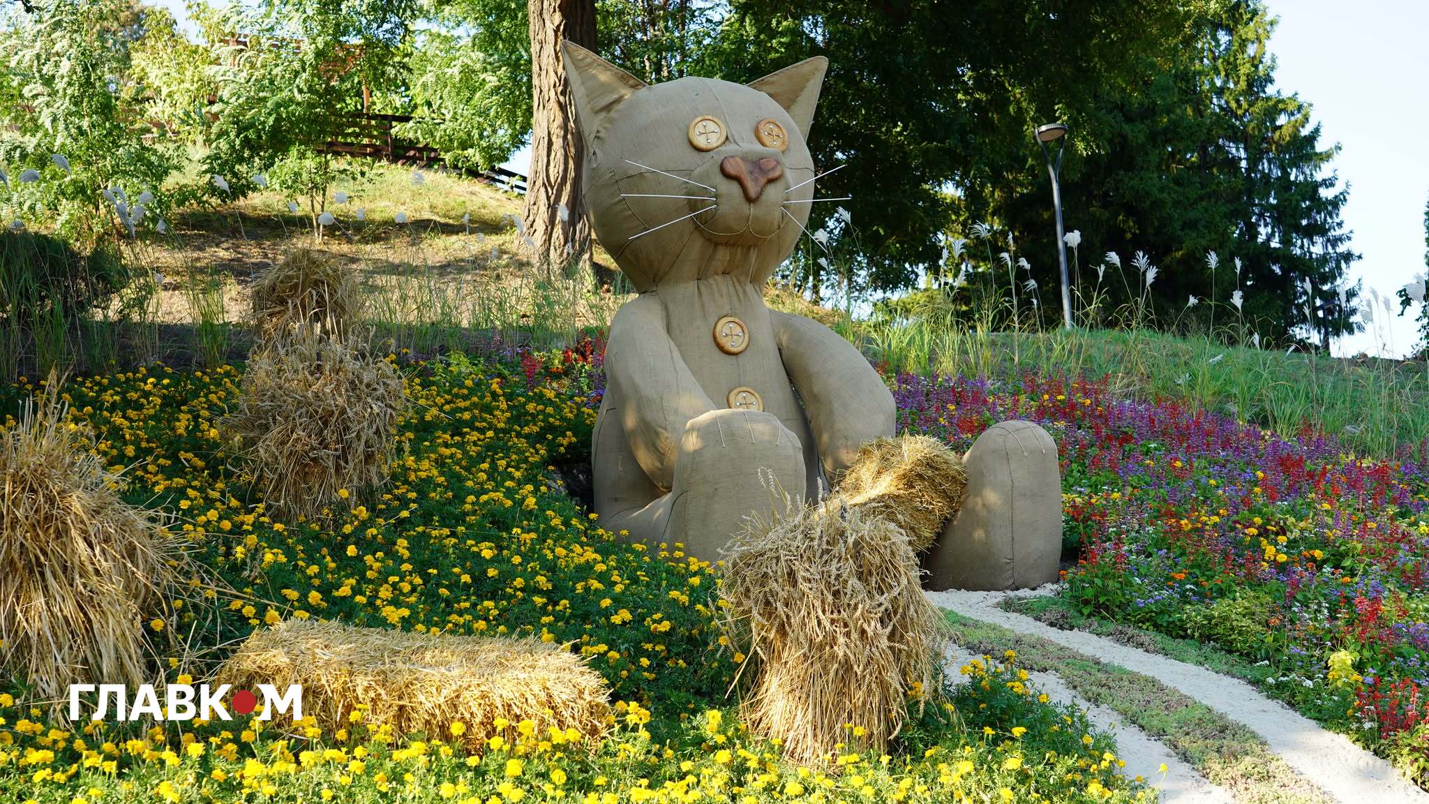 Котик-фермер