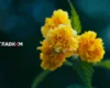 В Україні спекотна неділя до 32°: погода на 16 серпня 2026 року