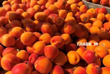 Де у Києві проходитимуть продуктові ярмарки 18-23 серпня (адреси)