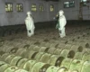 Замах на постачальника зброї Україні. ЗМІ дізналися про плани використати «Новачок»