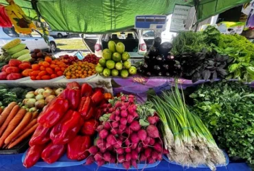 У Києві на вихідних 15-16 серпня відбудуться продовольчі ярмарки (адреси)